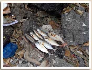 barbecue de poissons
